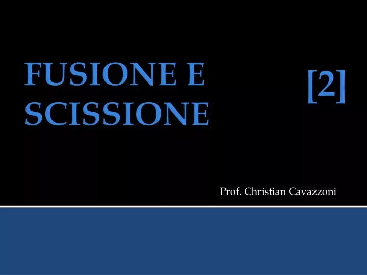 prof christian cavazzoni