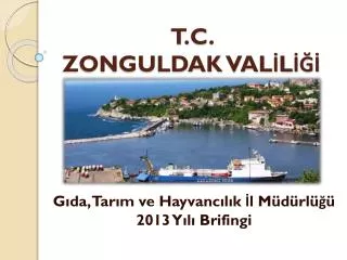 t c zonguldak val l