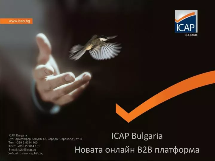 icap bulgaria b2b