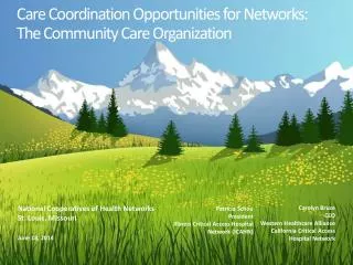 Care Coordination Opportunities for Networks: The Community Care Organization