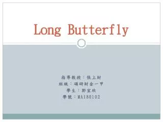 Long Butterfly