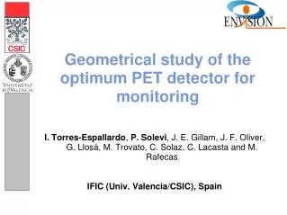 Geometrical study of the optimum PET detector for monitoring