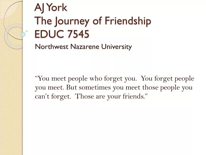 aj york the journey of friendship educ 7545