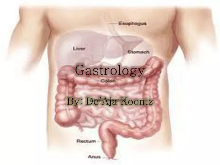gastrology