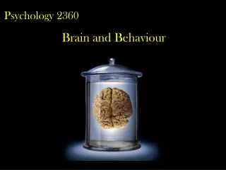 Psychology 2360 Brain and Behaviour