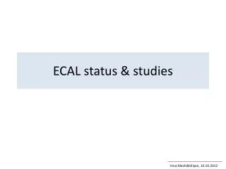 ECAL status &amp; studies