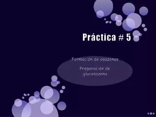 pr ctica 5