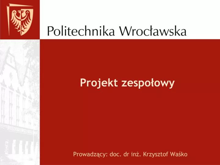 projekt zespo owy