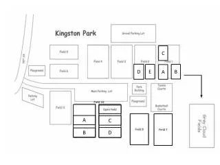 Field 7