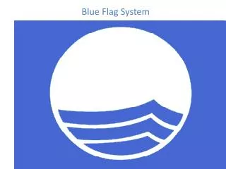 Blue Flag System