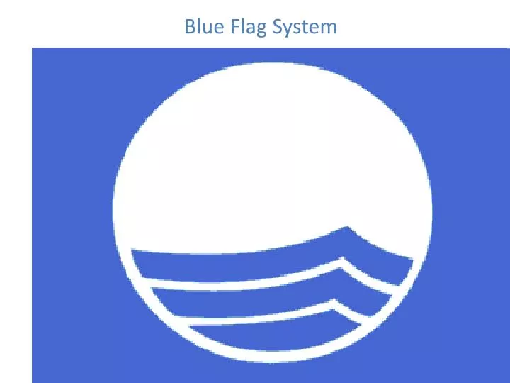 blue flag system