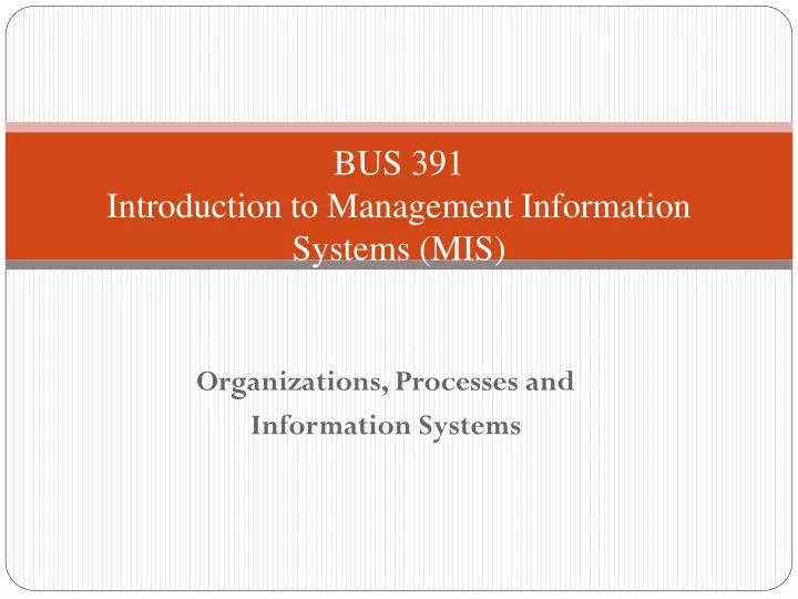 bus 391 introduction to management information systems mis