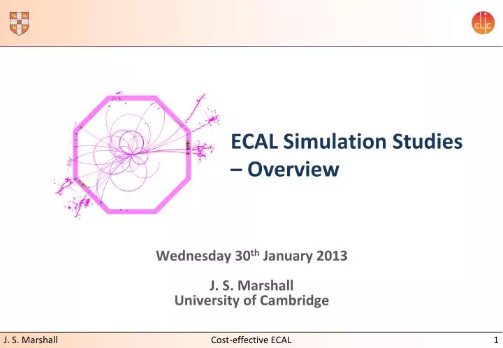 ecal simulation studies overview
