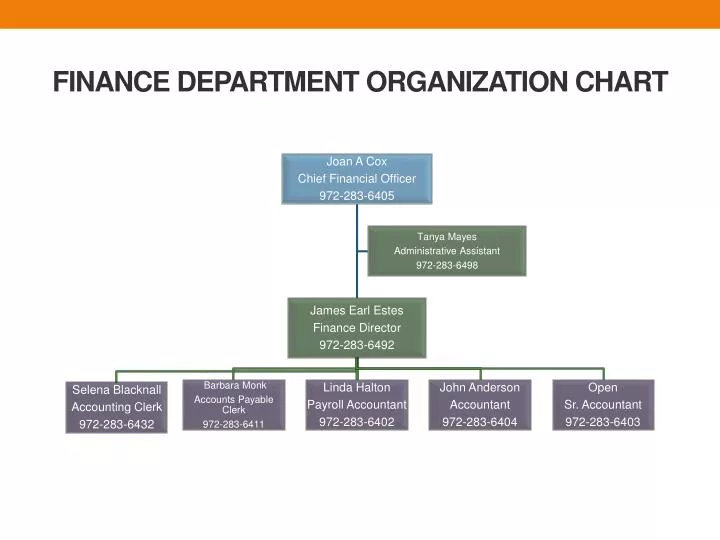 finance department organization chart