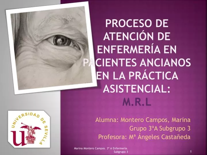 proceso de atenci n de enfermer a en pacientes ancianos en la pr ctica asistencial m r l