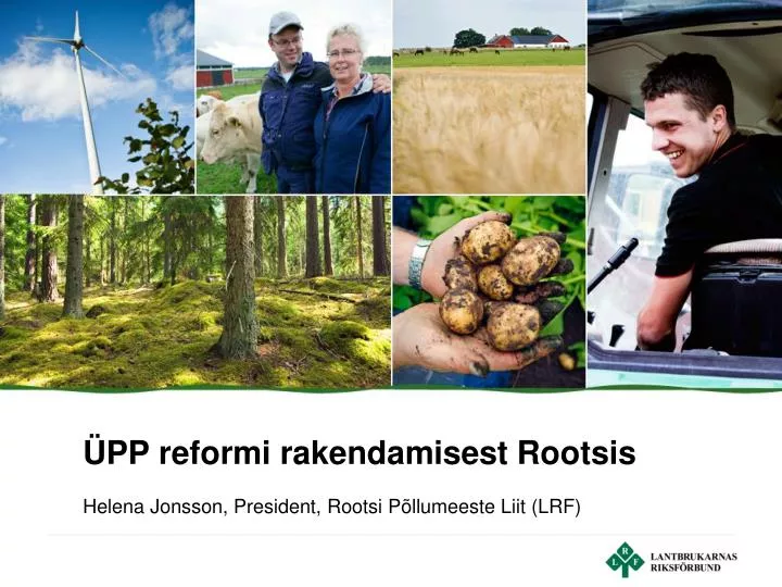 pp reformi rakendamisest rootsis