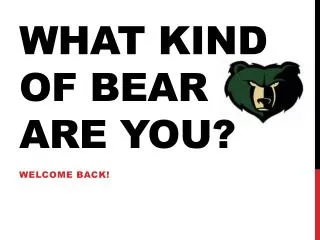 What Kind of Bear Are you?