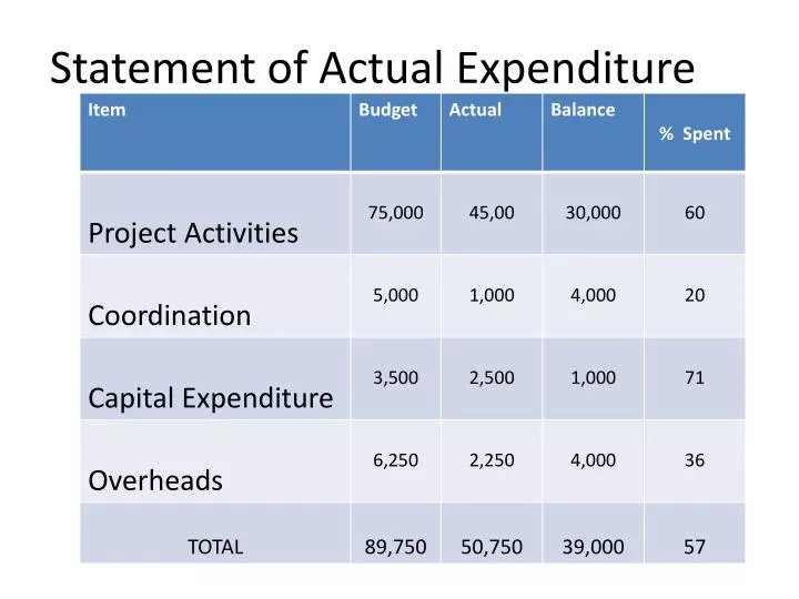 statement of actual expenditure