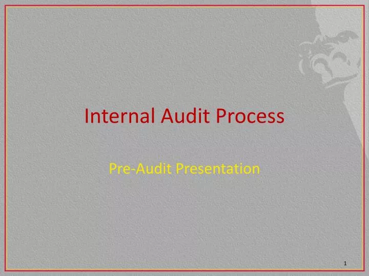 internal audit process