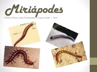 miri podes