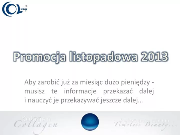 promocja listopadowa 2013