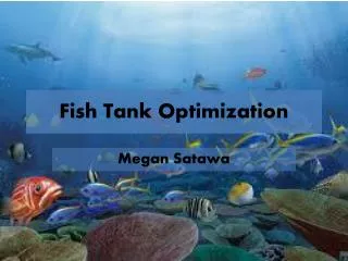 Fish Tank Optimization