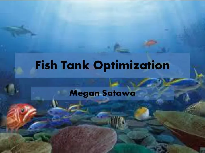 fish tank optimization