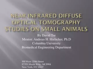 Near-infrared Diffuse Optical Tomography studies on small animals