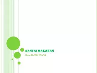 rantai makanan