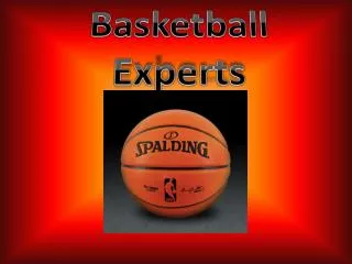 basketball experts