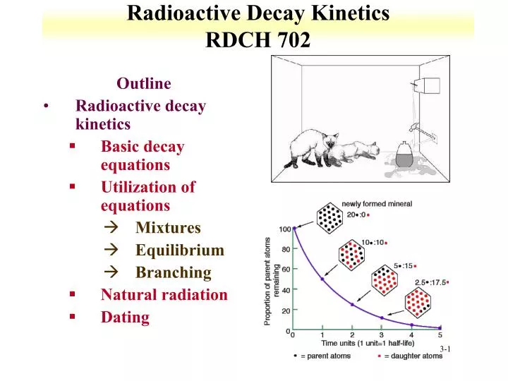 radioactive decay kinetics rdch 702