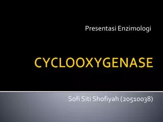 presentasi enzimologi