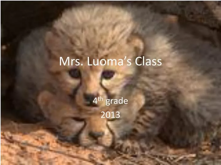 mrs luoma s class