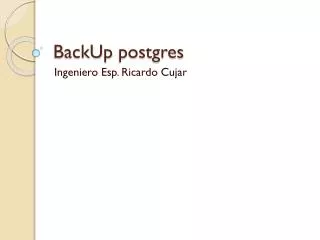 backup postgres