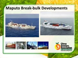 Maputo Break-bulk Developments