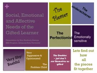Social, Emotional and Affective Needs of the Gifted Learner