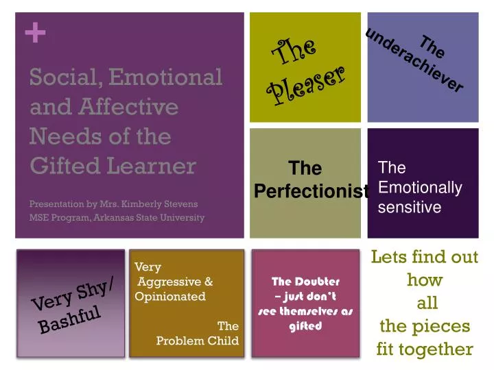 social emotional and affective needs of the gifted learner