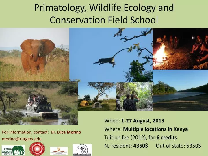 primatology wildlife ecology and conservation field school