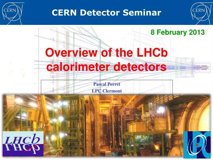 overview of the lhcb calorimeter detectors