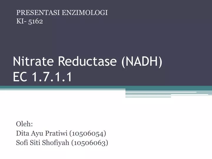 nitrate reductase nadh ec 1 7 1 1