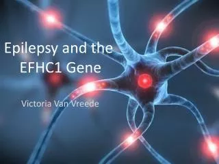 Epilepsy and the EFHC1 Gene