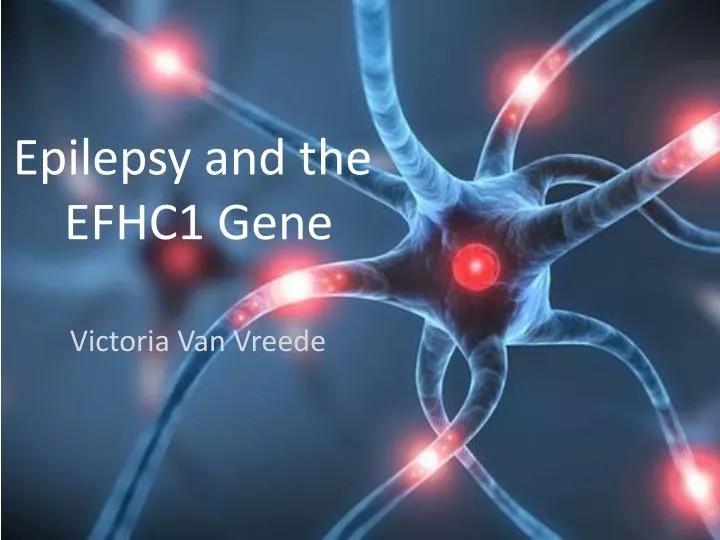 epilepsy and the efhc1 gene