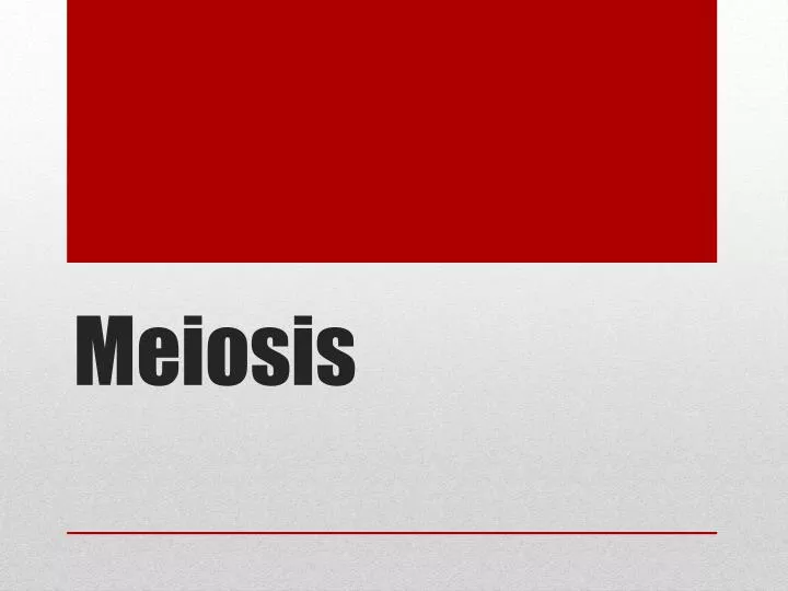 meiosis