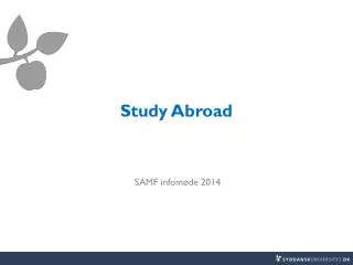 study abroad