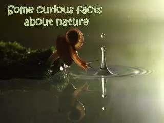 Some curious facts about nature