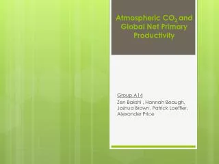 Atmospheric CO 2 and Global Net Primary Productivity