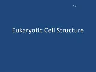 Eukaryotic Cell Structure