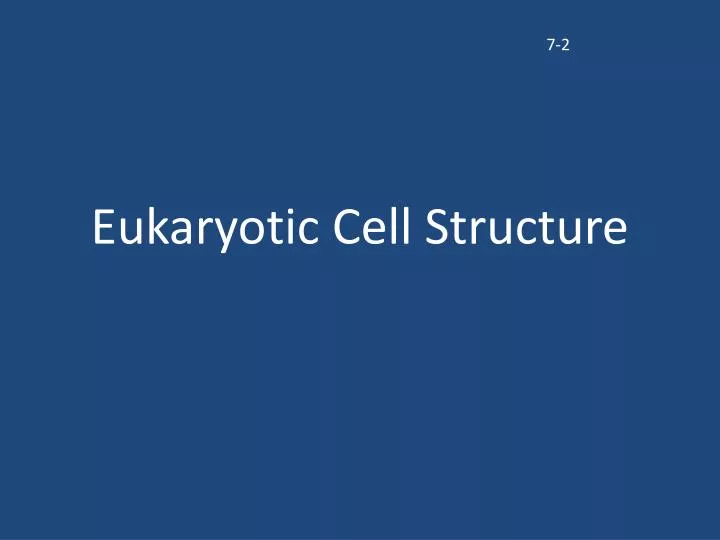 eukaryotic cell structure