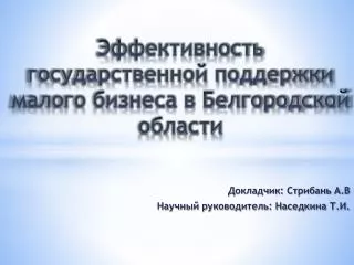 Эффективность государственной поддержки малого бизнеса в Белгородской области