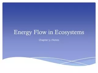 energy flow in ecosystems
